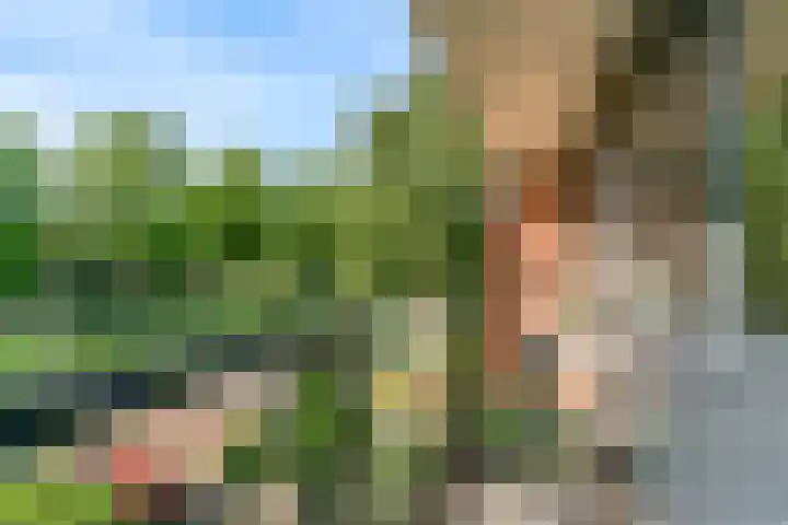 Wilgendal 63 Maassluis thumbnail 31