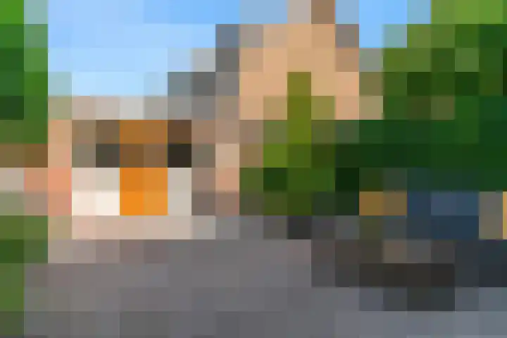 Wilgendal 63 Maassluis thumbnail 43