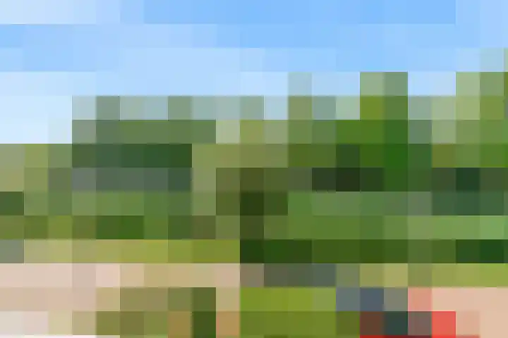 Wilgendal 63 Maassluis thumbnail 47