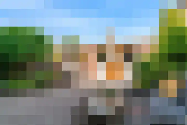 Wilgendal 63 Maassluis thumbnail 6