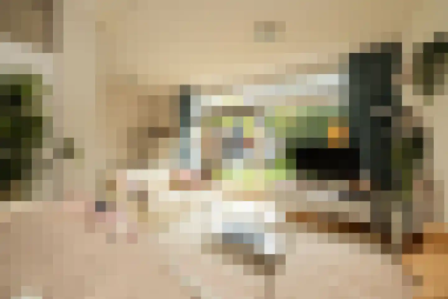 Wilgendreef 103 Voorburg thumbnail 10