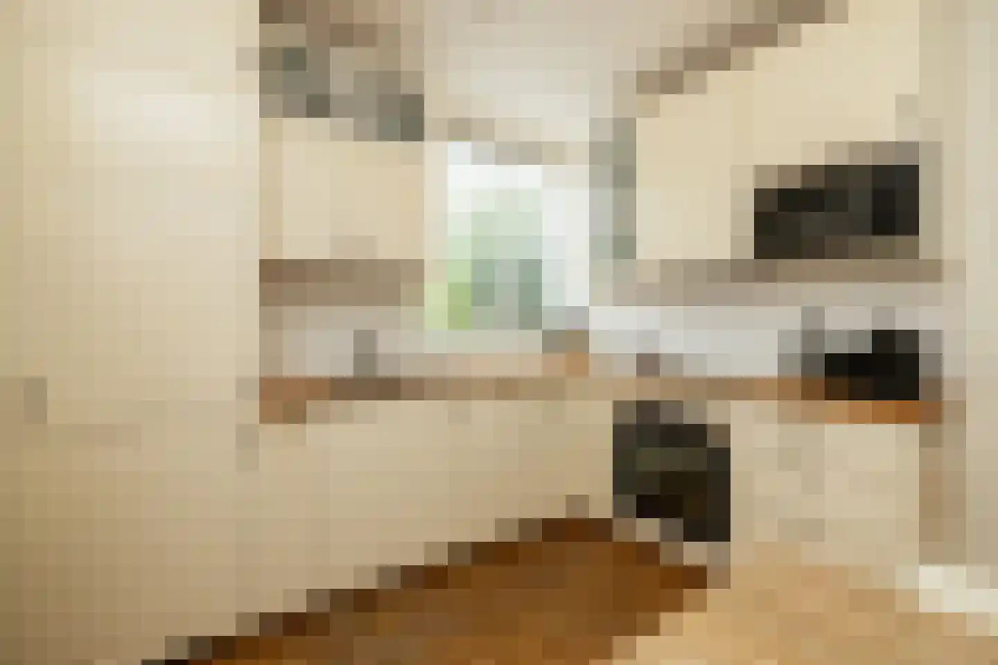 Wilgendreef 103 Voorburg thumbnail 14