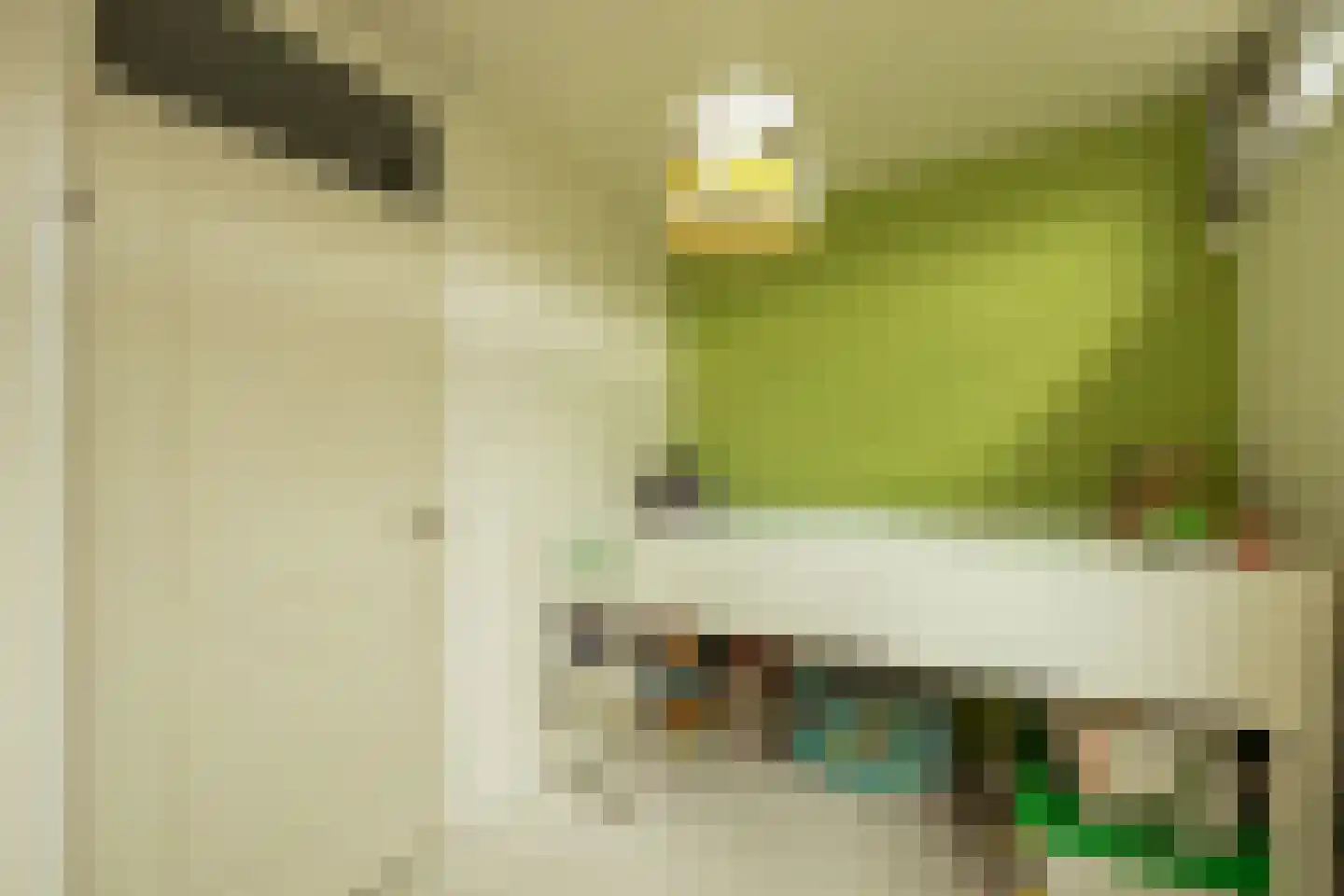 Wilgendreef 103 Voorburg thumbnail 22