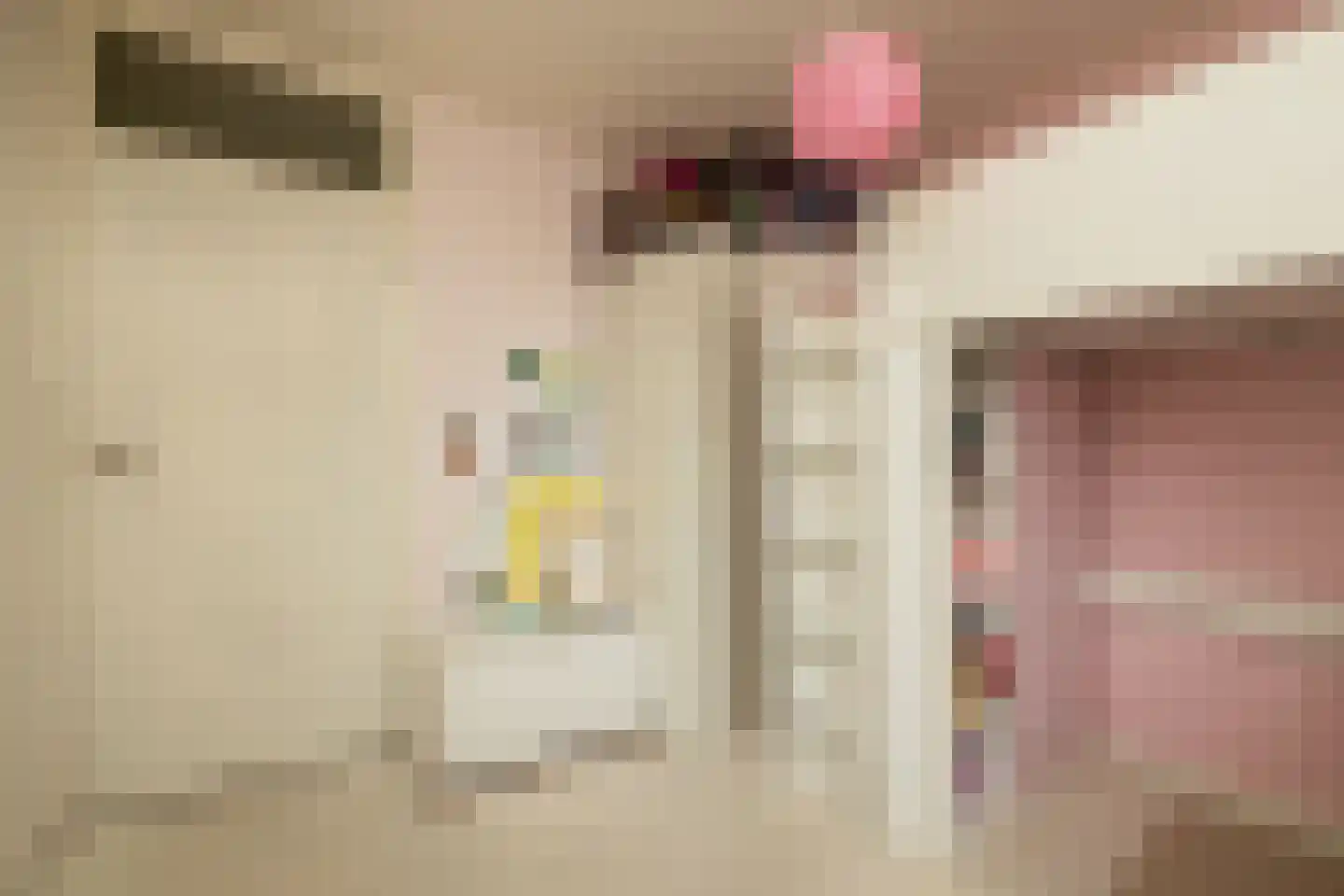 Wilgendreef 103 Voorburg thumbnail 26