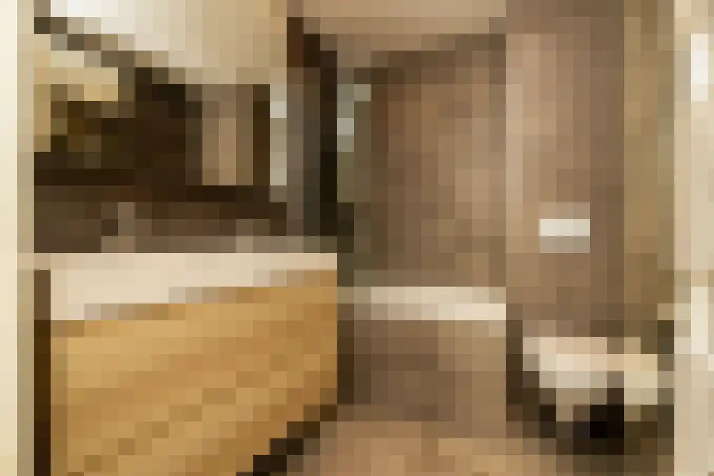 Wilgendreef 103 Voorburg thumbnail 30