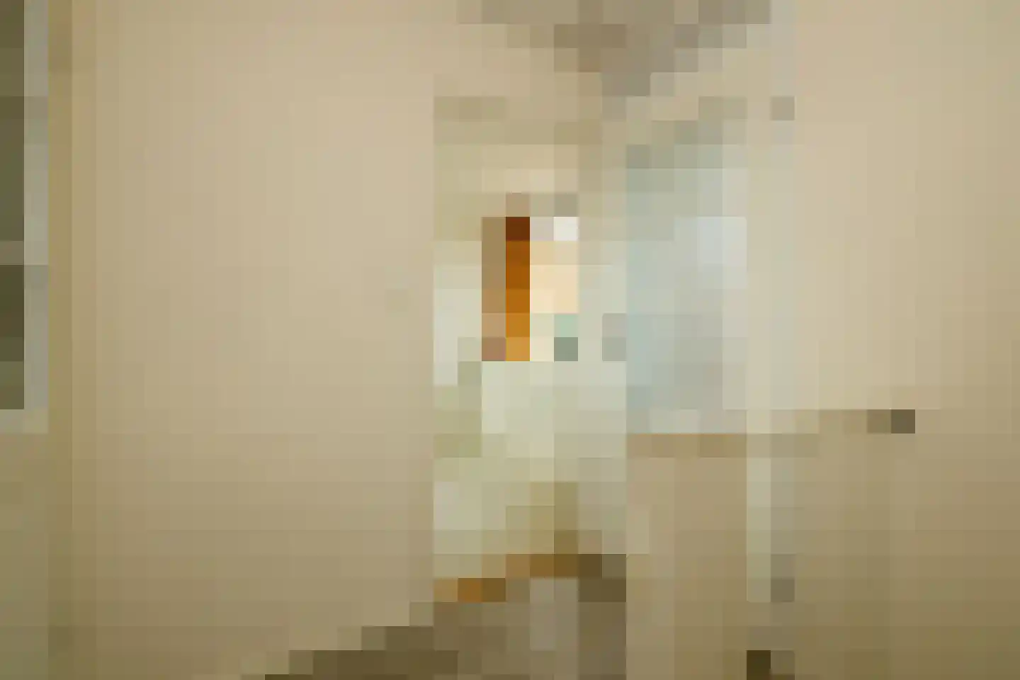 Wilgendreef 103 Voorburg thumbnail 33