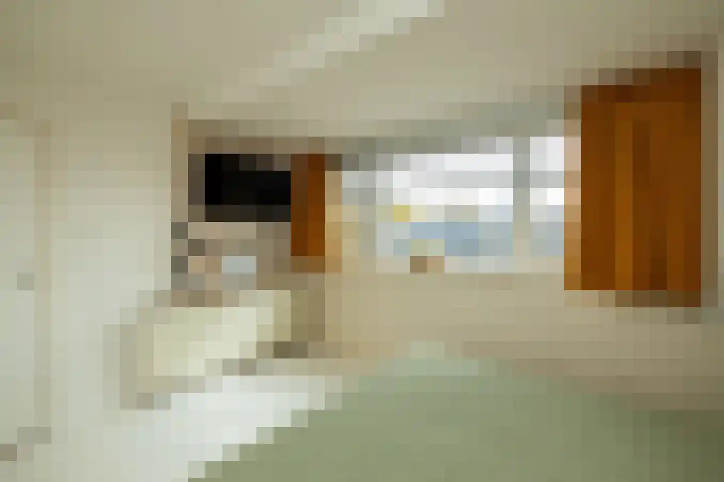 Wilgendreef 103 Voorburg thumbnail 36
