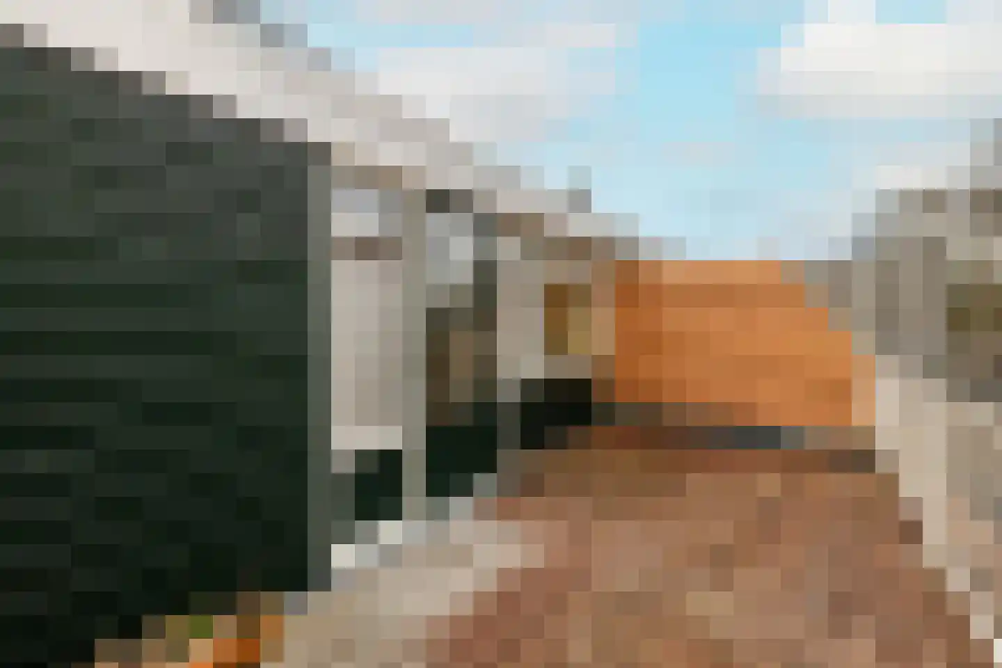 Wilgendreef 103 Voorburg thumbnail 41
