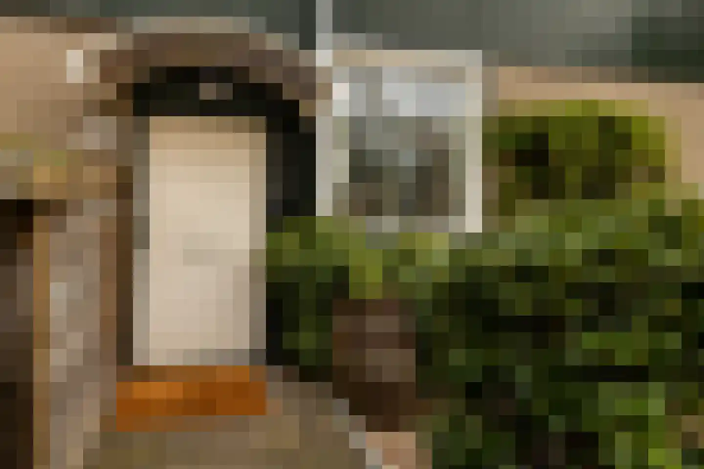 Wilgendreef 103 Voorburg thumbnail 45