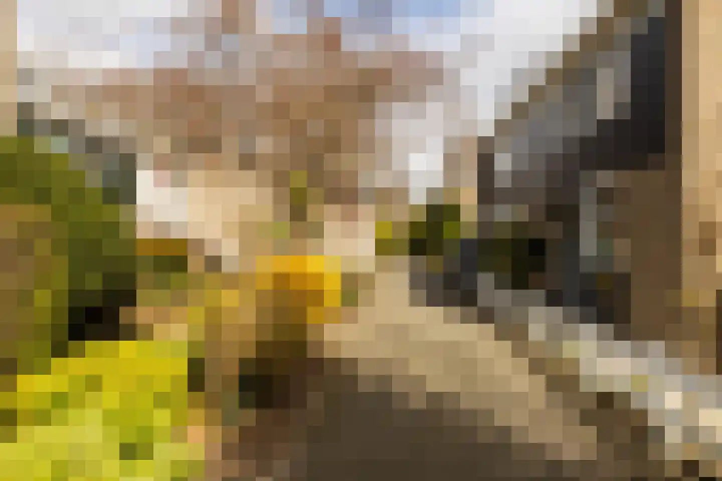 Wilgendreef 103 Voorburg thumbnail 48