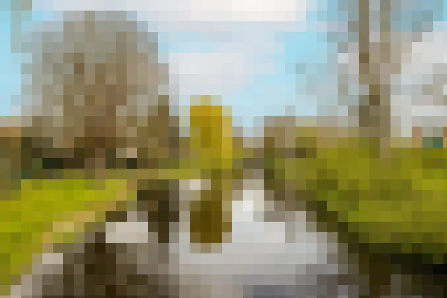 Wilgendreef 103 Voorburg thumbnail 51