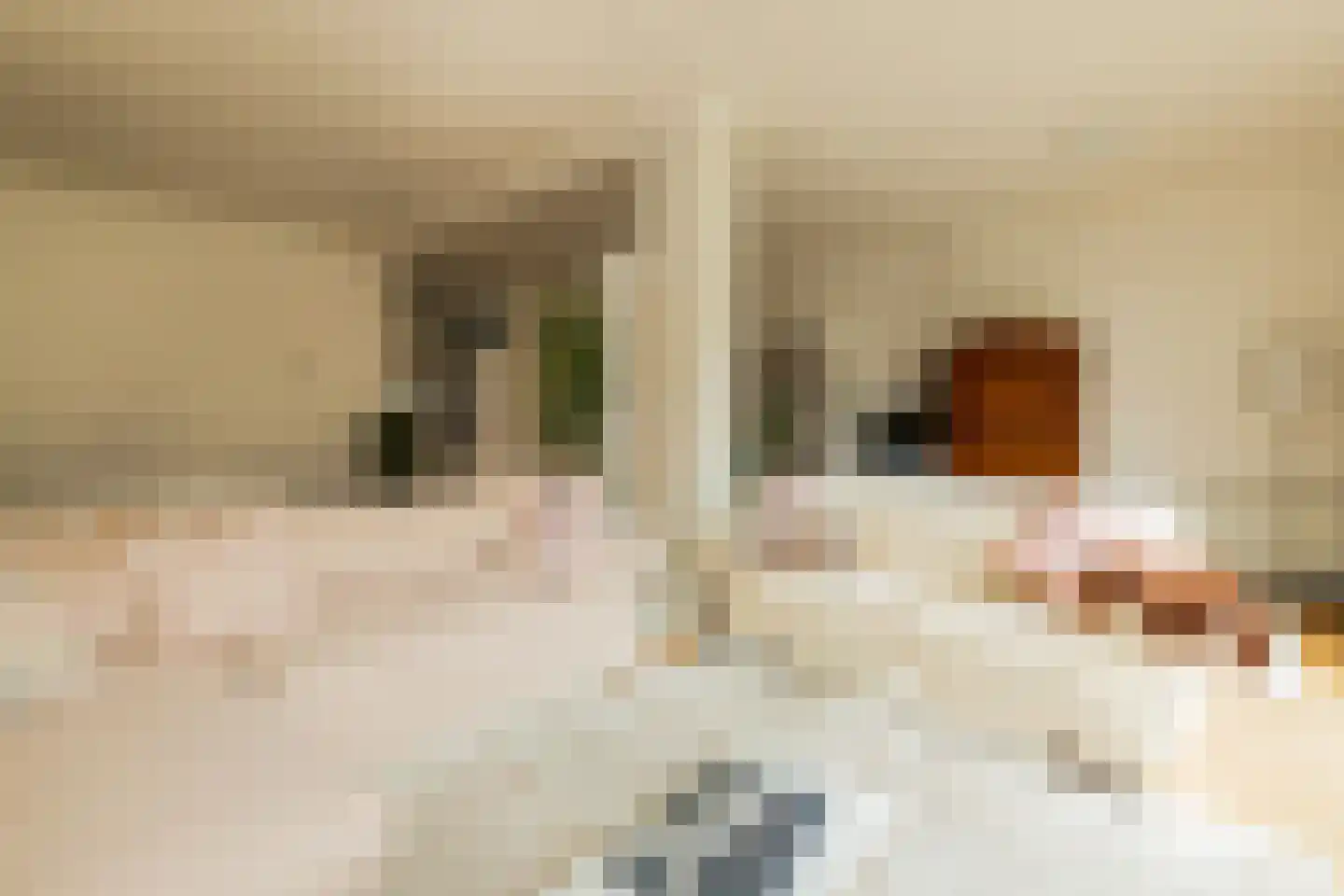 Wilgendreef 103 Voorburg thumbnail 9