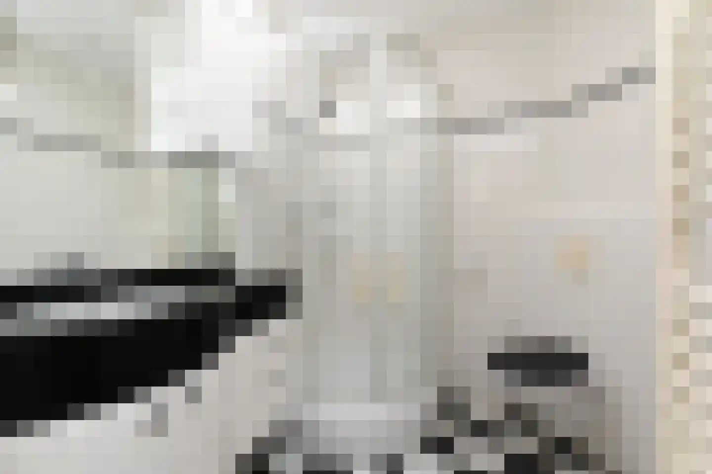 Wilgendreef 29 Voorburg thumbnail 5