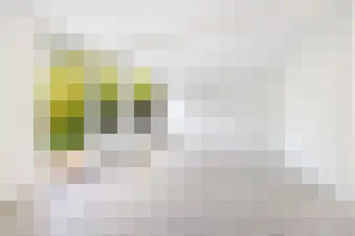 Wilgendreef 327 Voorburg thumbnail 14