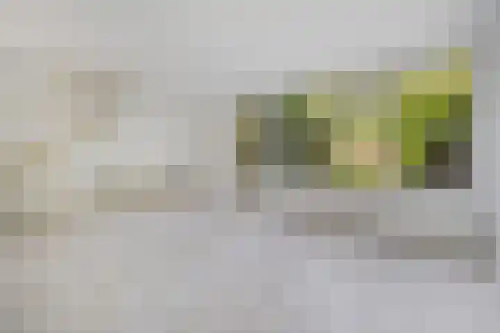 Wilgendreef 327 Voorburg thumbnail 15