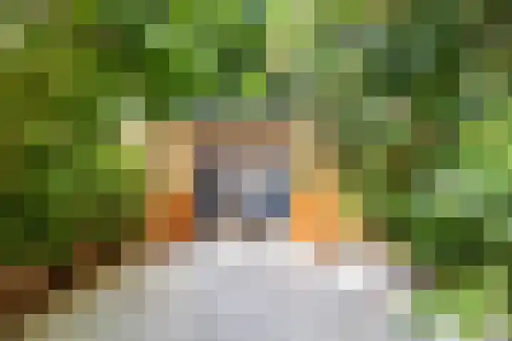 Wilgendreef 327 Voorburg thumbnail 18