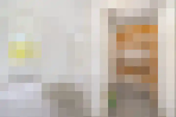 Wilgendreef 327 Voorburg thumbnail 20