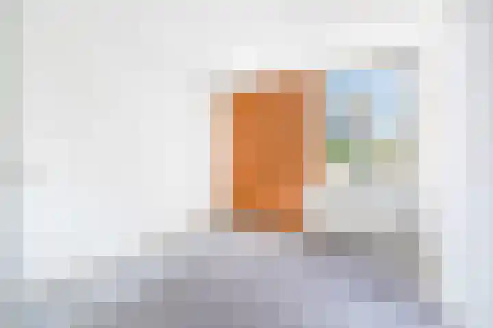Wilgendreef 327 Voorburg thumbnail 21