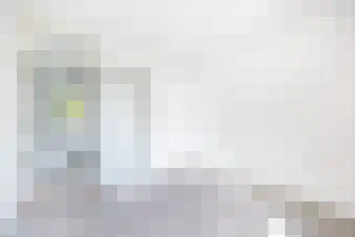 Wilgendreef 327 Voorburg thumbnail 22