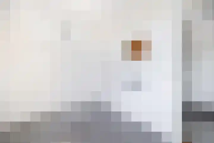 Wilgendreef 327 Voorburg thumbnail 23