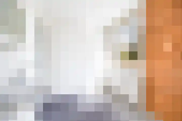 Wilgendreef 327 Voorburg thumbnail 24
