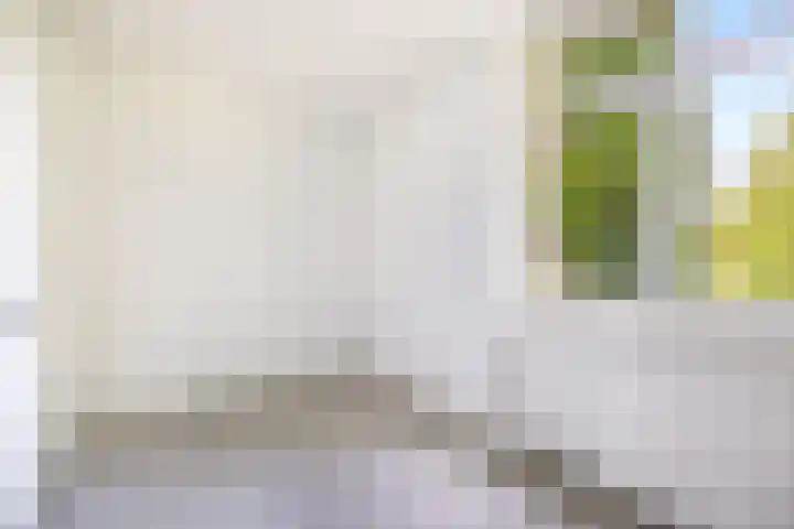 Wilgendreef 327 Voorburg thumbnail 26