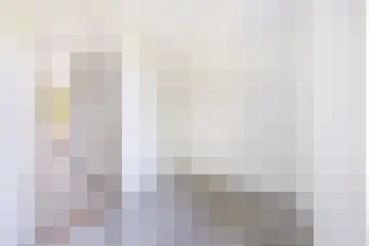 Wilgendreef 327 Voorburg thumbnail 27