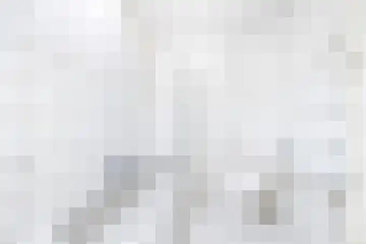 Wilgendreef 327 Voorburg thumbnail 28