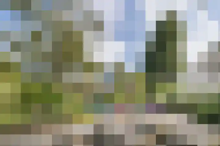 Wilgendreef 327 Voorburg thumbnail 30