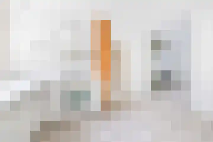 Wilgendreef 327 Voorburg thumbnail 4