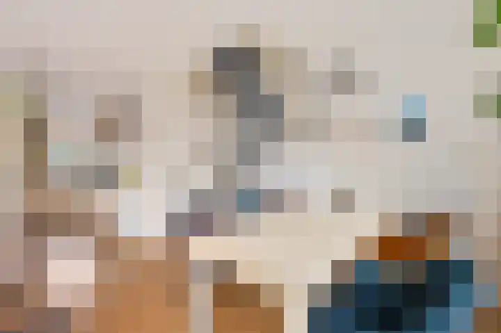 Wilgendreef 43 Voorburg thumbnail 13