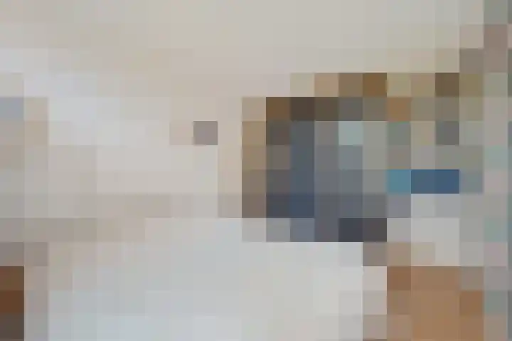 Wilgendreef 43 Voorburg thumbnail 20