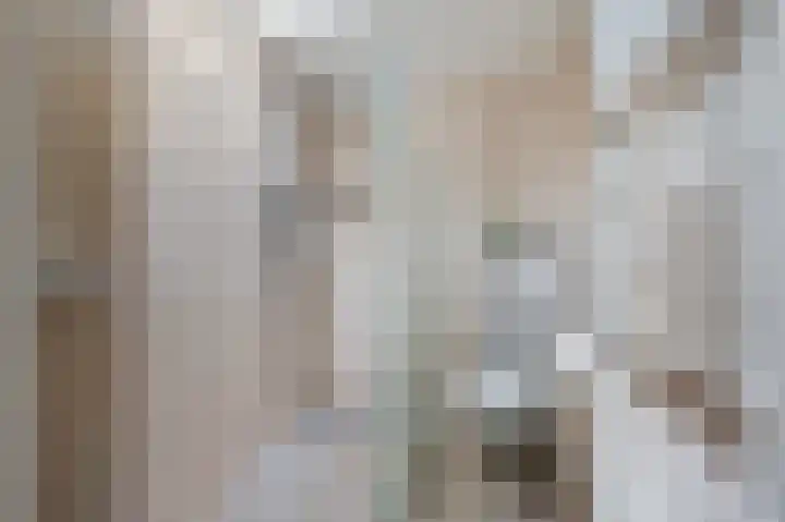 Wilgendreef 43 Voorburg thumbnail 25
