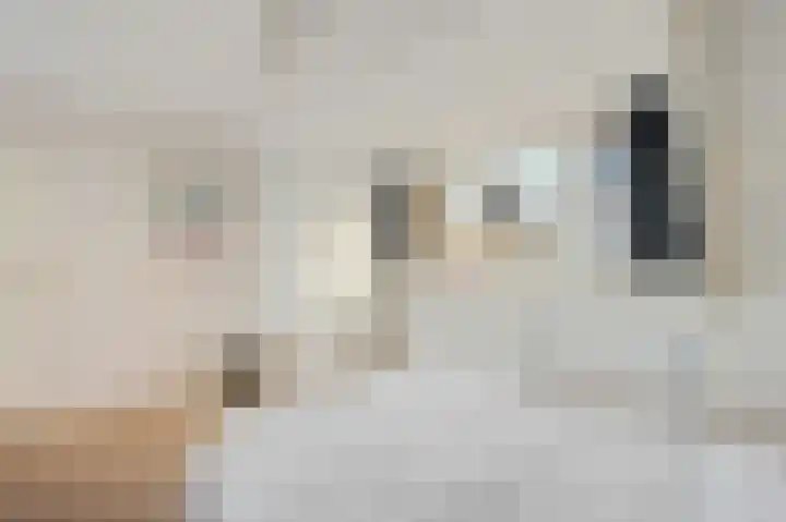 Wilgendreef 43 Voorburg thumbnail 32