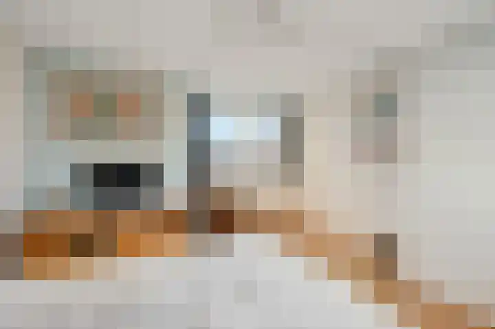 Wilgendreef 43 Voorburg thumbnail 33