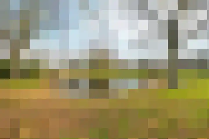 Wilgendreef 43 Voorburg thumbnail 38