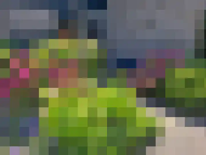 Wilgendreef 43 Voorburg thumbnail 40