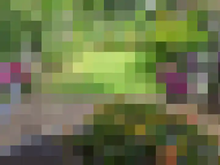 Wilgendreef 43 Voorburg thumbnail 41