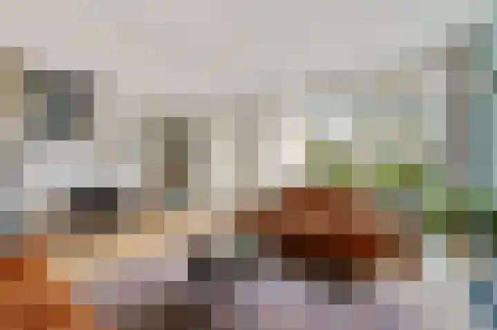 Wilgendreef 43 Voorburg thumbnail 7