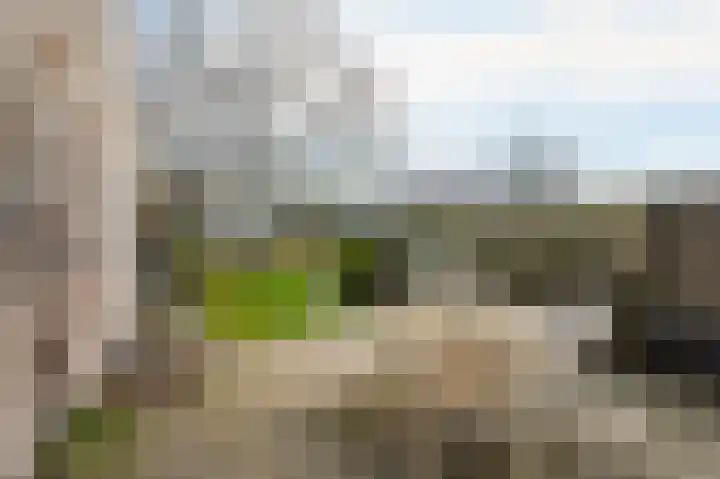 Wilgendreef 43 Voorburg thumbnail 8