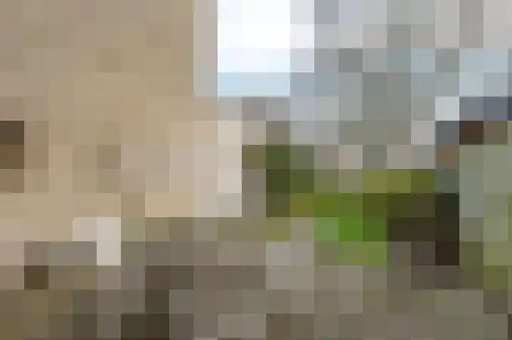 Wilgendreef 43 Voorburg thumbnail 9