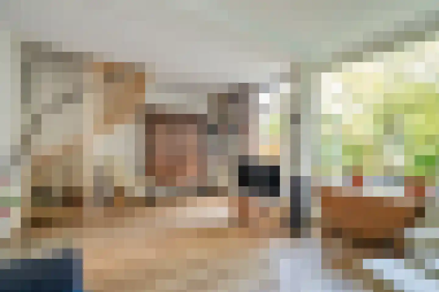 Wilgendreef 47 Voorburg thumbnail 14
