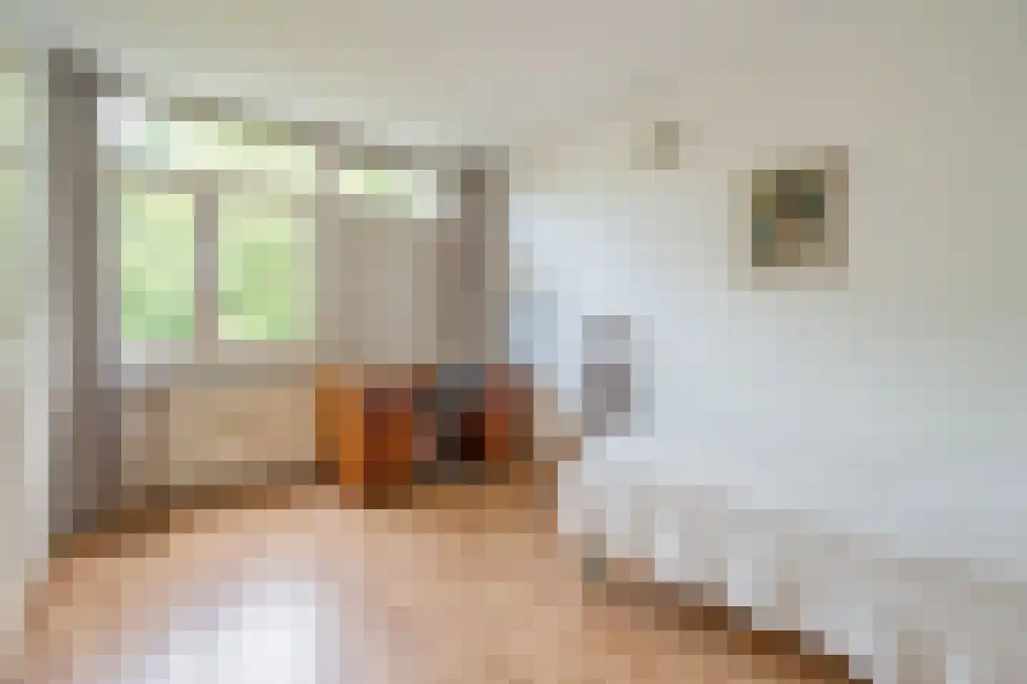 Wilgendreef 47 Voorburg thumbnail 19
