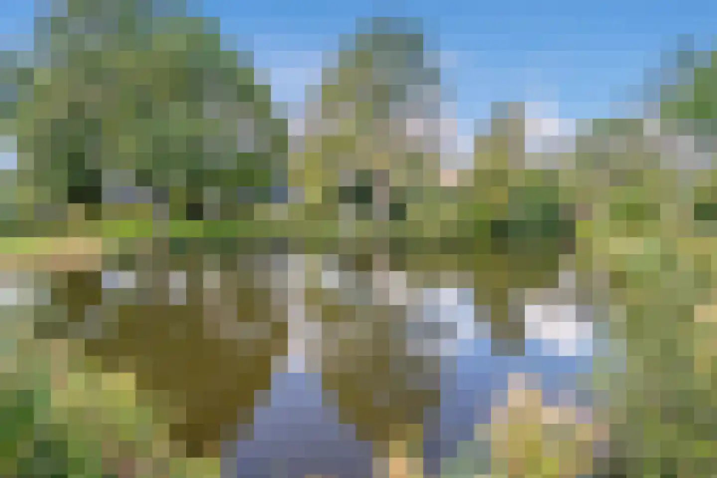 Wilgendreef 47 Voorburg thumbnail 40