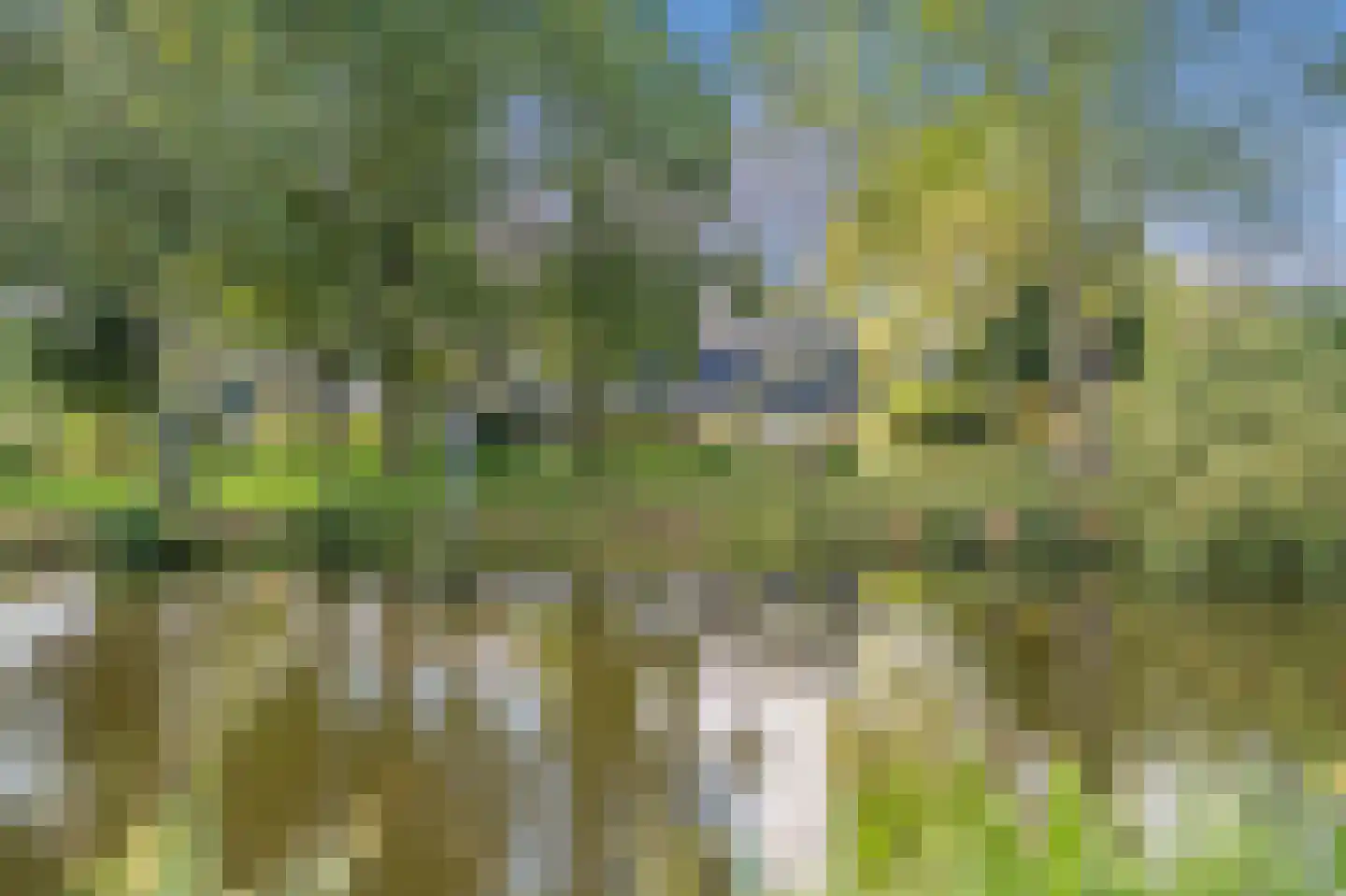 Wilgendreef 47 Voorburg thumbnail 41
