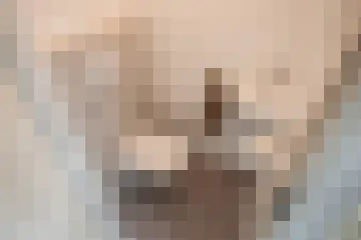 Wilgendreef 62 Voorburg thumbnail 11