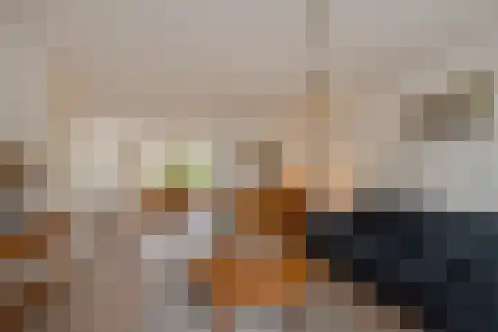 Wilgendreef 62 Voorburg thumbnail 13
