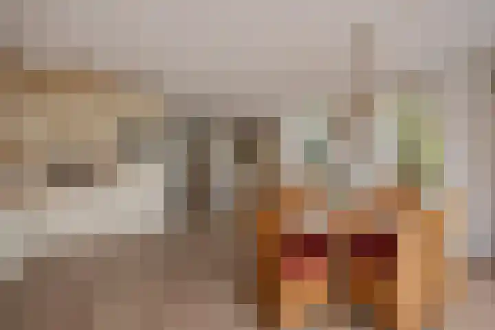 Wilgendreef 62 Voorburg thumbnail 15