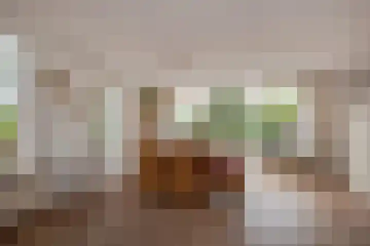 Wilgendreef 62 Voorburg thumbnail 17