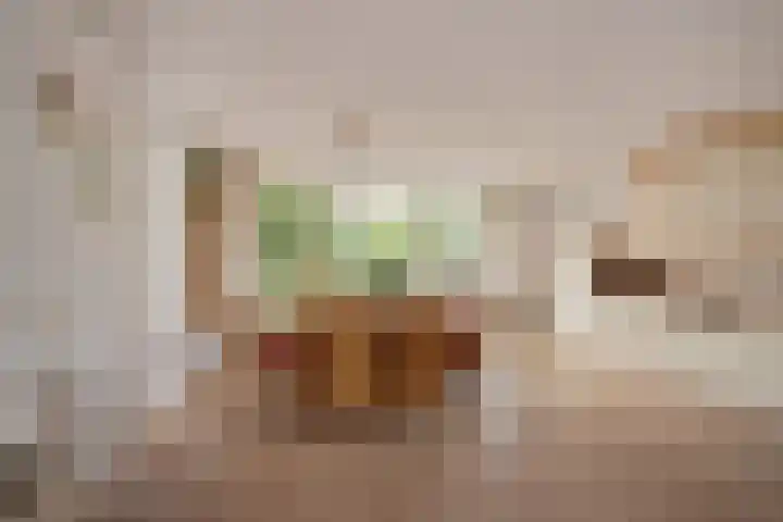 Wilgendreef 62 Voorburg thumbnail 18